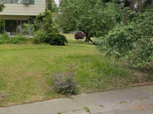Leaf Removal by Lakota Calkins for Jun Ho M. in Kirkland, WA