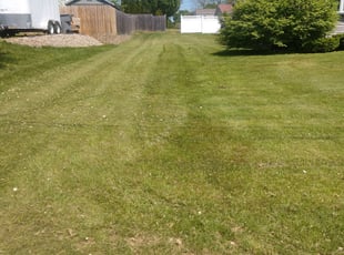 Bush Trimming by Justin Mundell for MARY F. in Enfield, CT