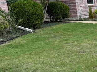 Weeding by Julie Turpin for Joseph N. in Rockwall, TX