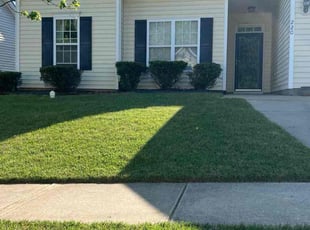 Jack N.'s Lawn Maintenance service result
