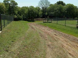 Tori M.'s Lawn Maintenance service result