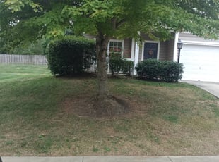Bush Trimming by Kafai Leung for Calvin R. in Charlotte, NC