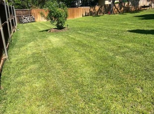 Amy T.'s Lawn Mowing service result