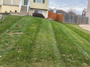 Brittany W.'s Lawn Maintenance service result
