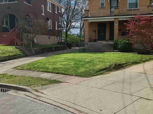 Terri G.'s Lawn Service service result
