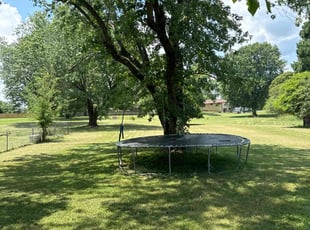 Donna W.'s Lawn Mowing service result