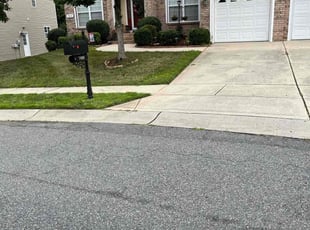 Bush Trimming by Claude Batts for Carolyn C. in Charlotte, NC
