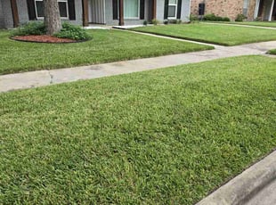 Donetta H.'s Lawn Mowing service result