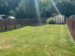 Douglas E.'s Lawn Mowing service result