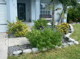 Raul N.'s Lawn Mowing service result