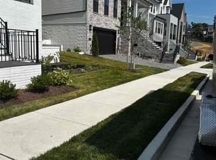 Chris C.'s Grass Cutting service result