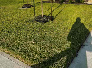 Sara A.'s Lawn Mowing Service service result