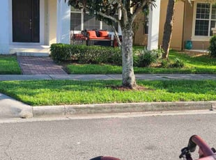 Delores L.'s Lawn Mowing Service service result
