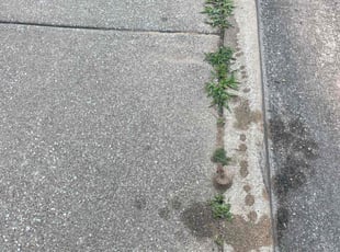 Weeding by Simon Sanchez Jr for Nathaniel T. in Irving, TX