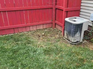 Bush Trimming by Keith Marolt for Deborah W. in Cleveland, OH