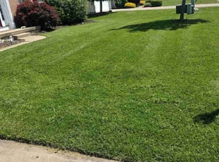 Doug S.'s Lawn Mowing Service service result