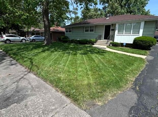 Kanisha E.'s Lawn Mowing service result
