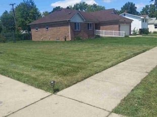 Chris P.'s Grass Cutting service result