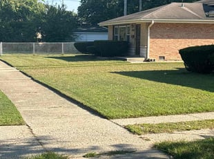 Thomas G.'s Grass Cutting service result