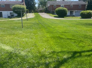 Robin N.'s Lawn Maintenance service result