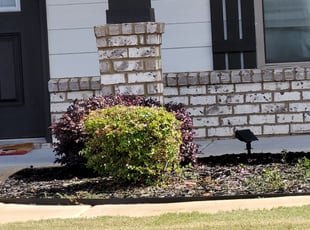Bush Trimming by Willie P for Shanntonnette W. in McDonough, GA