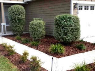 Bush Trimming by John Allred for Charleen M. in Belleville, IL