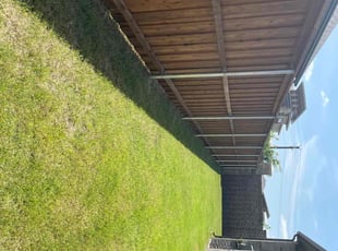 Nathan S.'s Lawn Mowing service result