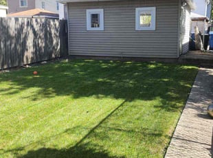 Pailina T.'s Lawn Care service result