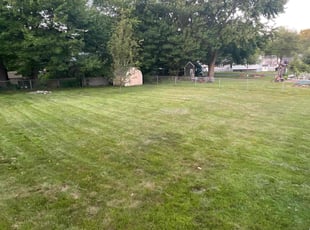 Ligia H.'s Lawn Care service result