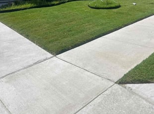 Michael R.'s Lawn Service service result