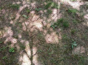 Clare F.'s Cleanups service result