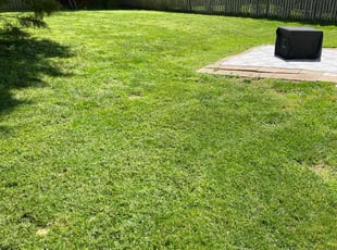 Amy N.'s Grass Cutting service result