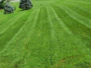 Carolyn R.'s Lawn Service service result