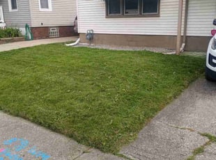 Scott S.'s Grass Cutting service result