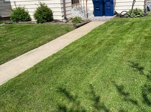 SUSAN P.'s Lawn Maintenance service result
