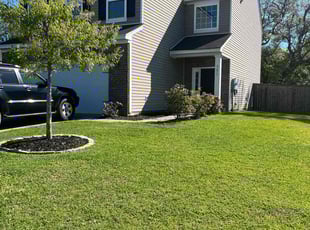 David O.'s Grass Cutting service result