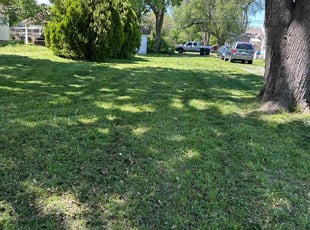 Bert C.'s Lawn Service service result