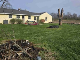 Mike S.'s Yard Cutting service result