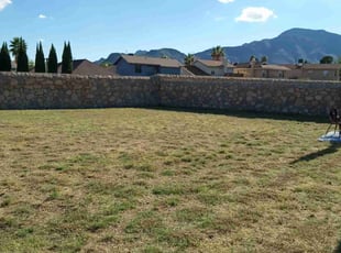 Cleanups by Angel Sandoval for Gina S. in El Paso, TX