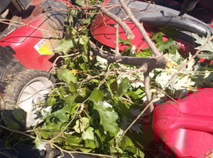Cleanups by Christopher Johnson for Matthew L. in Kansas City, KS