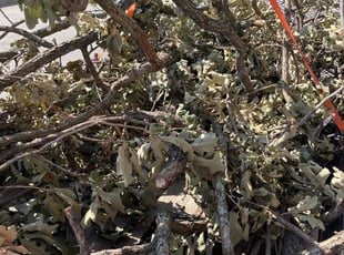 Cleanups by M D for Kat D. in Sand Springs, OK