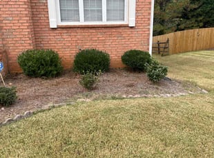 Bush Trimming by Elijah Knight for DAVID S. in Kennesaw, GA