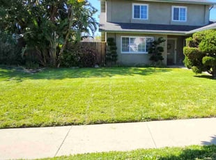 Karen B.'s Lawn Maintenance service result