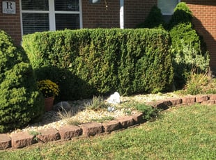 Bush Trimming by Elijah Freeman for Angela R. in Cincinnati, OH