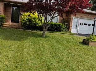 Frank D.'s Lawn Maintenance service result