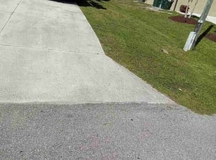 Bush Trimming by Sterlinne Jerome for Cassidy H. in North Port, FL