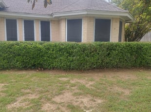 Bush Trimming by Jeffrey Brown for Teresa S. in Fort Worth, TX