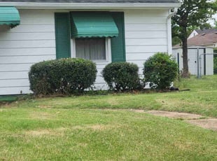 Bush Trimming by Carl Stephans for Glenn G. in Norfolk, VA