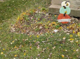 Weeding by Daniel Burton for trae m. in Aurora, IL