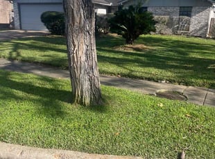Lorin V.'s Lawn Mowing Service service result